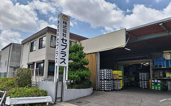 株式会社セプラス