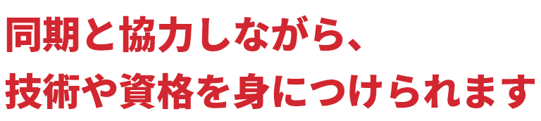 同期と協力しながら、技術や資格を身につけられます